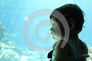 Little Girl Aquarium Exploration