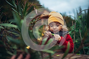 Little girl in autumn clothes eating harvested organic peas in eco garden, sustainable lifestyle.