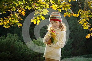 Little girl in an autumn park