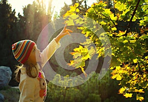 Little girl in an autumn park