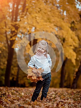 Little girl in autumn Park with leaves in her hands