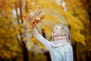 Little girl in autumn Park with leaves in her hands