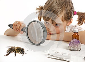 Little girl and bee photo