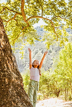 Little girl and big tree