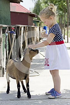 Little girl and billy goat