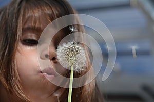 Little girl blow Dandelion plant