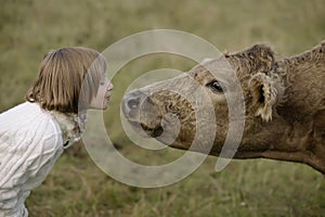 Little girl blowing beautiful cow in the nose. Lifestyle portrait