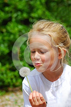 Little girl blowing blowball - Dandelion