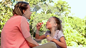 Little girl blowing bubbles at her happy mother in the park