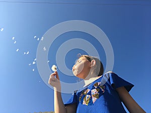 A little girl blowing dandelion seeds.