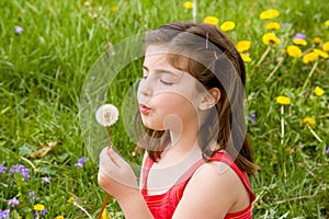 Little Girl Blowing Dandelion Seeds