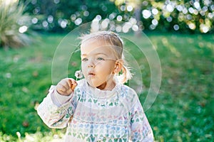 Little girl blowing on a dandelion while standing on a green lawn
