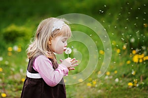 The little girl blows a dandelion