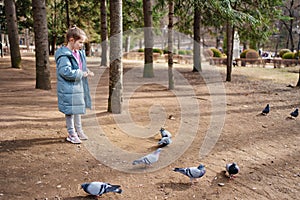 a little girl in a blue coat feeds pigeons bread in the park.