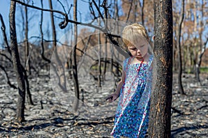 Little girl in in blue dress in burnt forest after bush fire wit