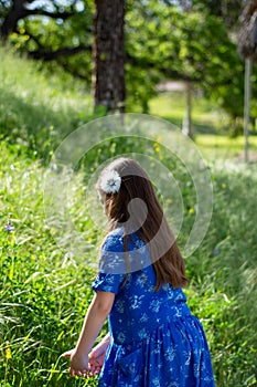 Little Girl in Blue Dress looking at golden field at park