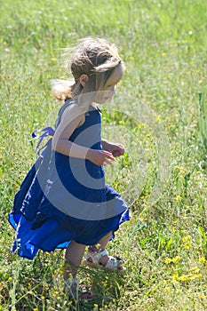 Little girl in a blue dress runs on a meadow