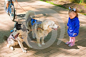 Little girl in blue jacket standing and looking at