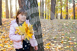 Little girl with a bouquet of maple leaves in a sunny park in autumn. Golden hour