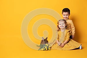 Little girl and boy hugging near rabbit and tulips sitting on yellow background