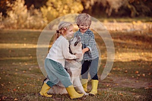 Little girl and boy with pet dog exploring nature vacation. Children with a dog hiking along the nature. Toddlers age