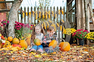 Little girl and boy picking pumpkins for Halloween pumpkin patch