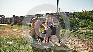 Little girl with brother feeding goat with carrot