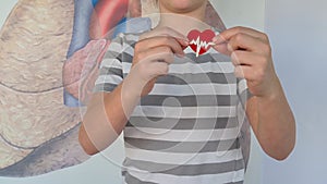 Little girl carefully holds heart in hands