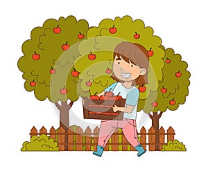 Little Girl Carrying Wooden Crate with Apples Working on the Farm Vector Illustration