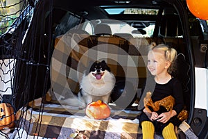 Little girl celebrating Halloween pet dog car trunk. Fun outdoors