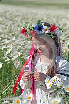 Little girl on chamomile field