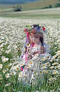 Little girl on chamomile field