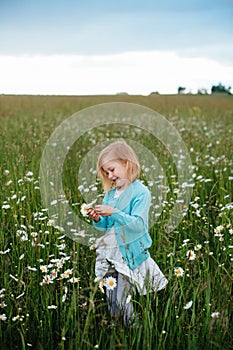 Little girl in a chamomile field