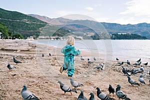 Little girl chasing pigeons along the seashore