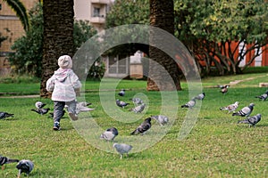 Little girl chasing pigeons on the green lawn in front of the house. Back view