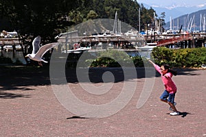 Little Girl Chasing Seagull