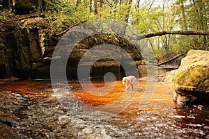 Little Girl Child Exploring for Rocks in Red Iron Filled River Surrounded by Rock Formations