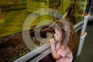 Little girl child looking on swimming fish in aquarium at pet shop