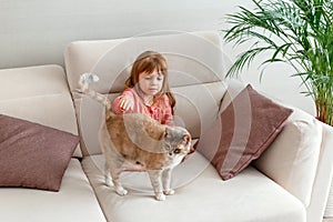 Little girl child stroking cat while sitting on couch at home. Love and relationship of pets and children. Kid girl