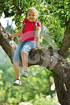 Little girl climbed on tree