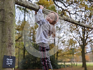 Little girl climbs tree with sign saying please do not climb