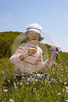 Little girl collect flowers