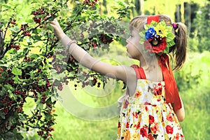Little girl collecting berries.