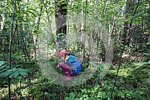 Little girl collecting mushrooms in a forest.