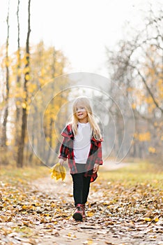 A little girl collects autumn fallen leaves in a bouquet in the Park. Happy childhood
