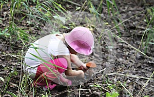 A little girl collects mushrooms in a summer forest