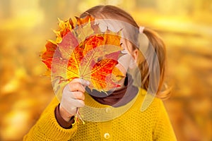 Little girl covers her face with aautumn leaf