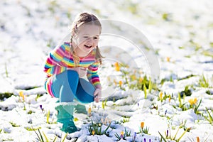 Little girl with crocus flowers under snow in spring