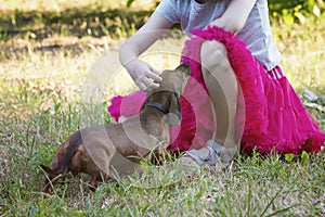 Little girl and dachshund dog