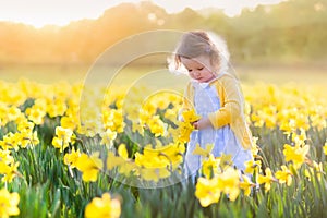 Little girl in daffodil field